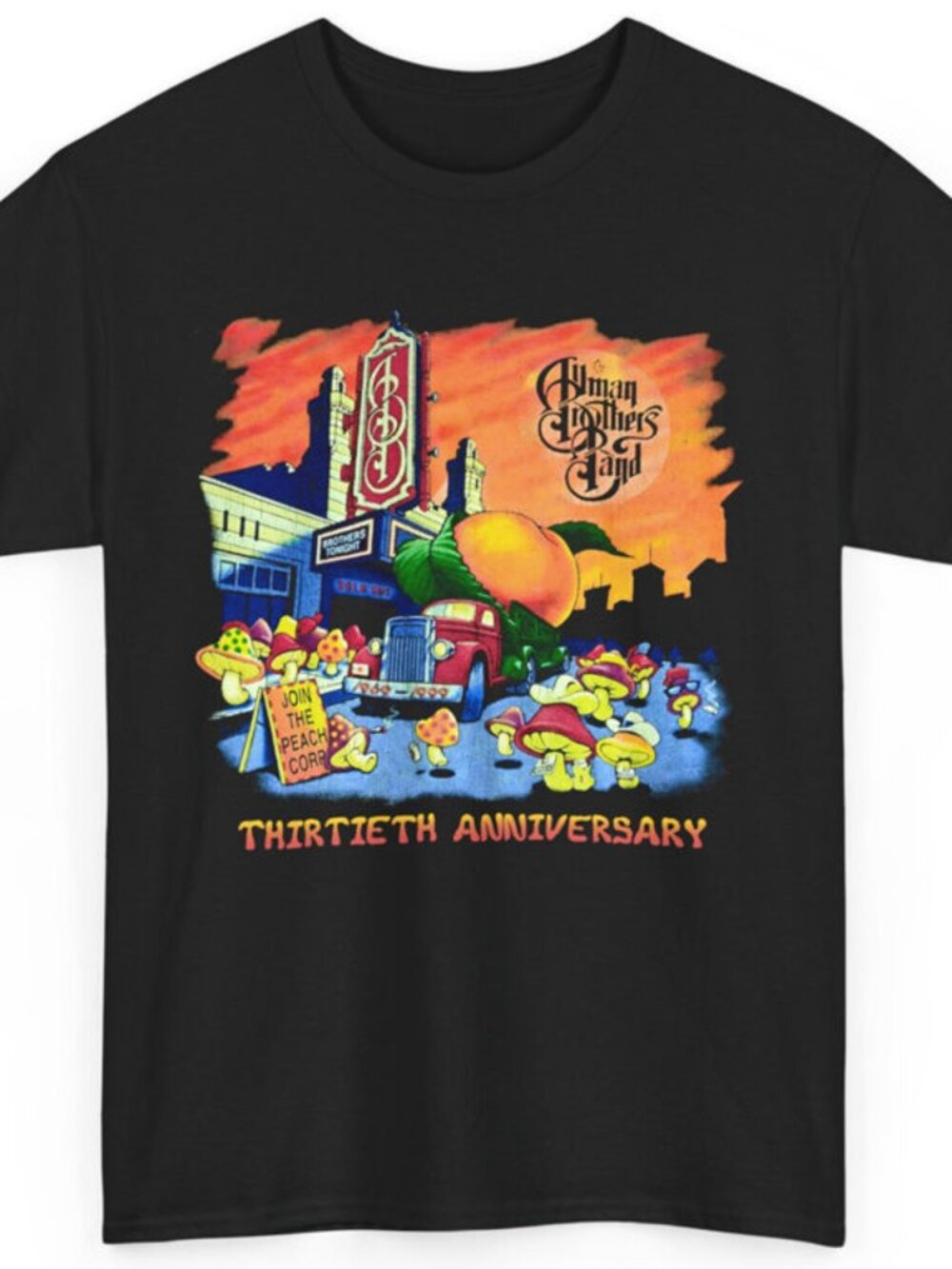 Allman Brothers 30 Year Anniversary Shirt
